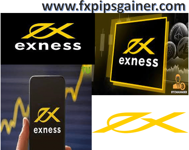 Exploring the Opportunities with Exness FX Broker Exploring the Opportunities with Exness FX Broker