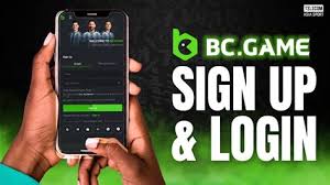 Prediction BC.Game Insights and Future Prospects