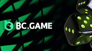 Understanding Payment BC.Game A Comprehensive Guide